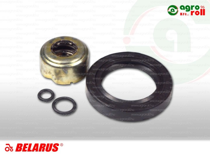 Tömszelence+szimering+gumigyűrű vizszivattyú MTZ-80/82 RK-901