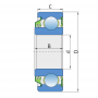 6204.RSL3 csapágy FKL BEARING (40089 MZURI, 400.524 Pöttinger 400524, 009620.00 OTICO)